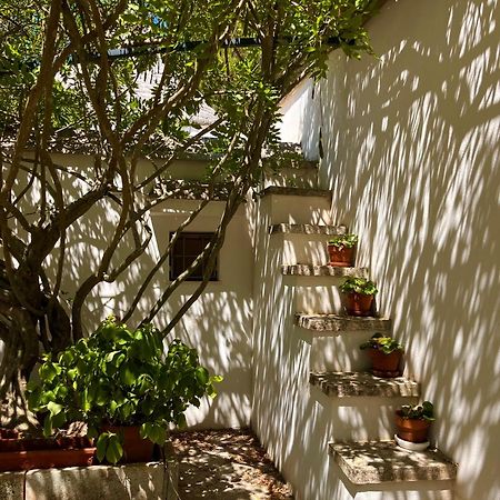 I Trulli Della Naturabio Martina Franca Exteriér fotografie