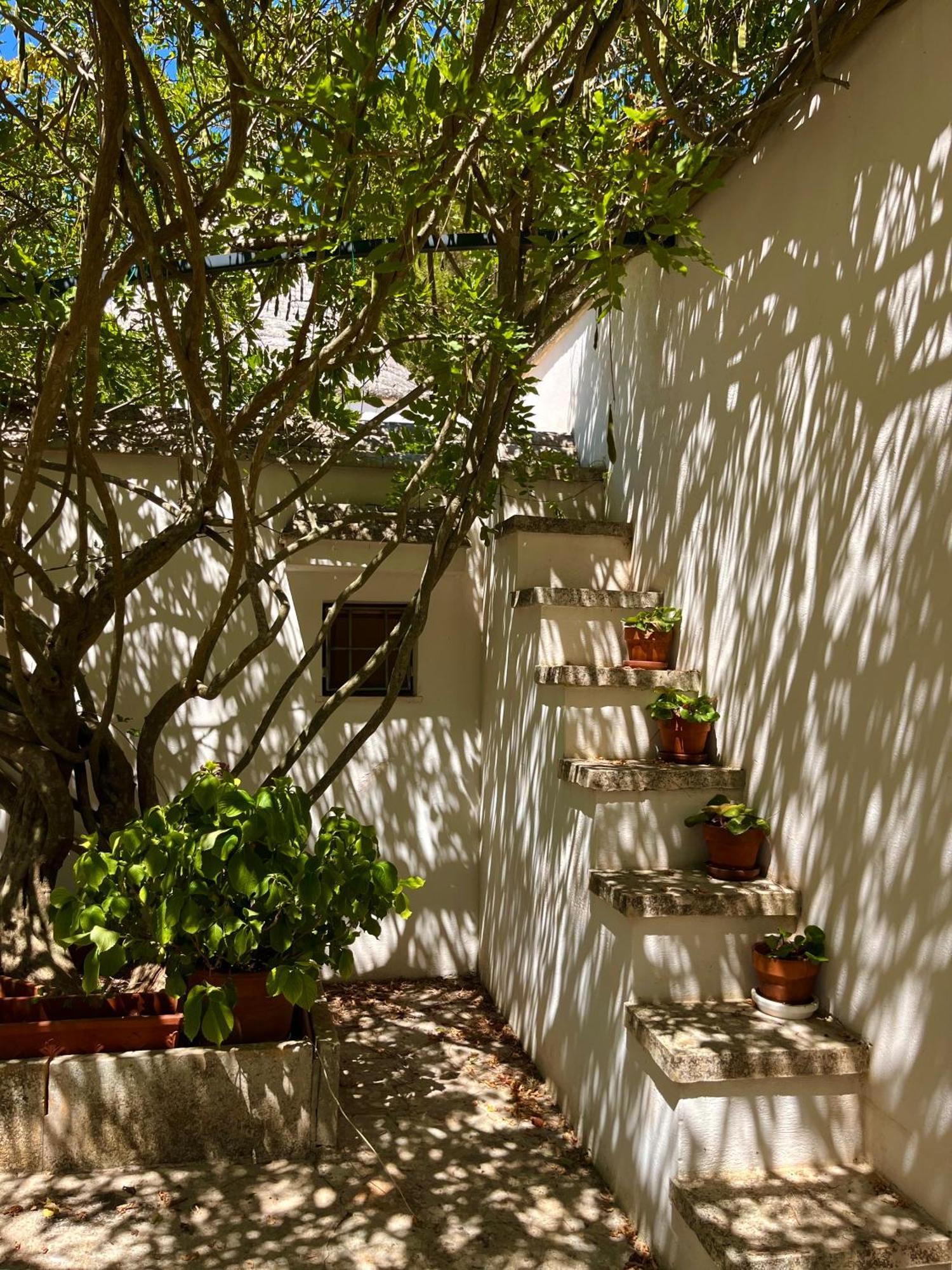 I Trulli Della Naturabio Martina Franca Exteriér fotografie